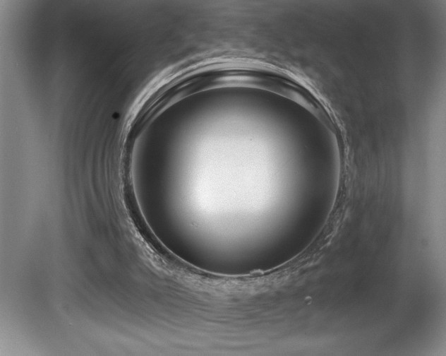X0000080790007200612151507