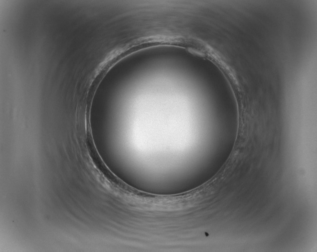 X0000080790011200612151507