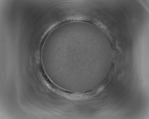 X0000080790012200612151507