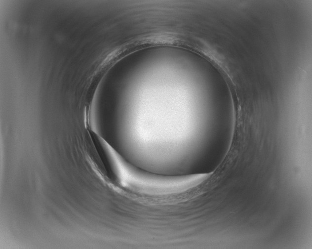 X0000080790013200612151507
