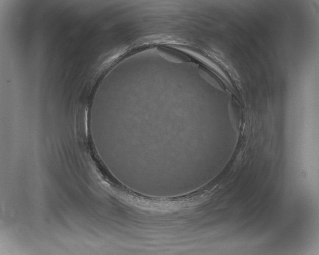 X0000080790014200612151507