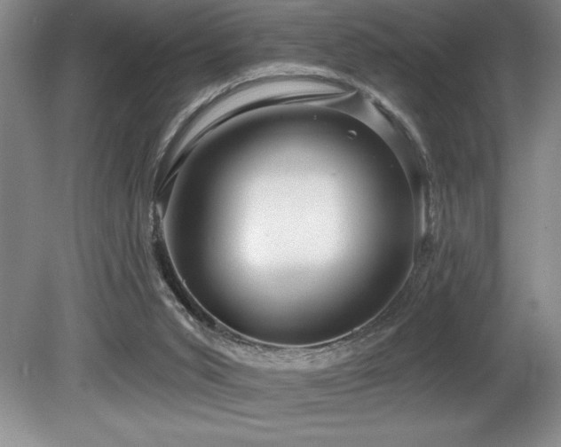 X0000080790015200612151506