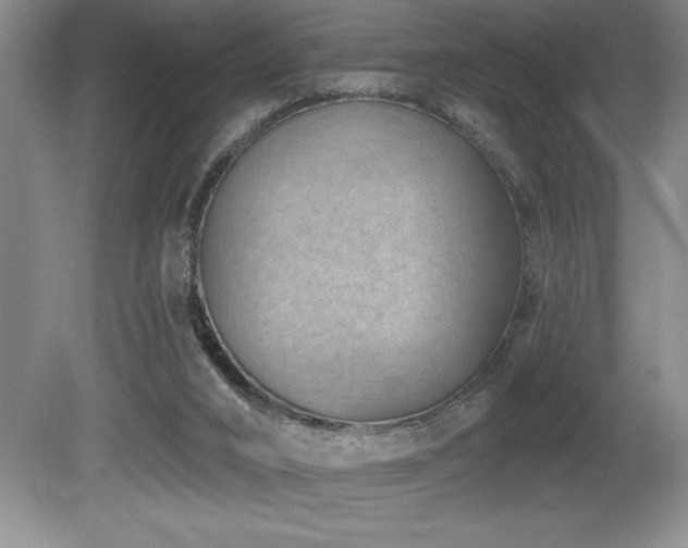 X0000080790016200612151506