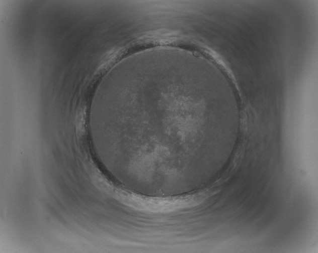 X0000080790018200612151506
