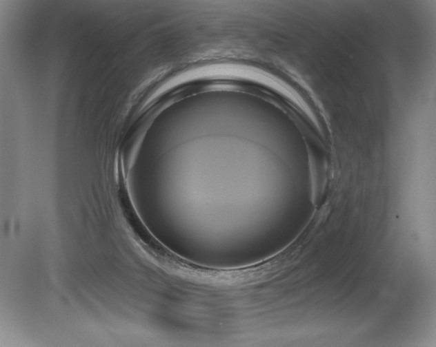 X0000080790019200612151506