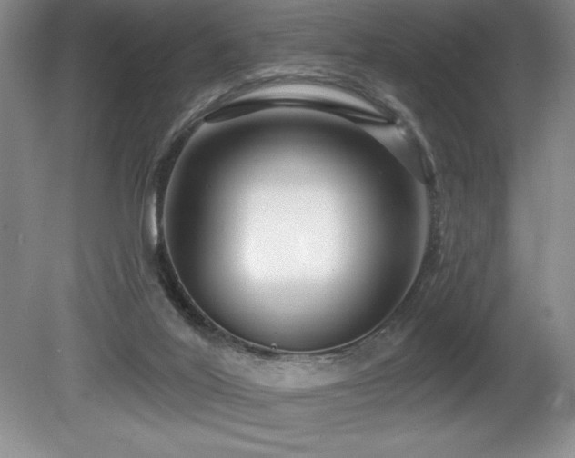 X0000080790020200612151506