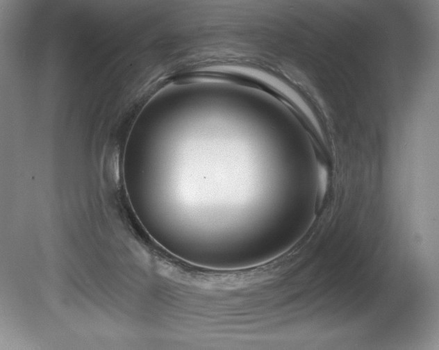 X0000080790021200612151506