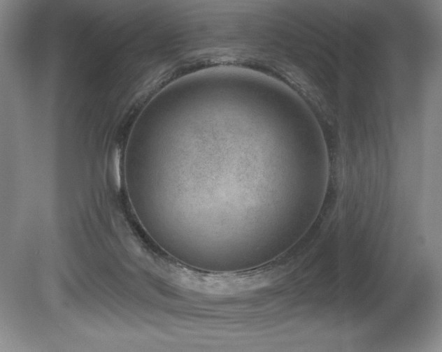 X0000080790022200612151506
