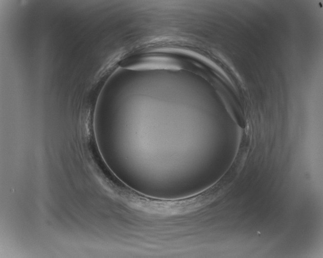 X0000080790023200612151506