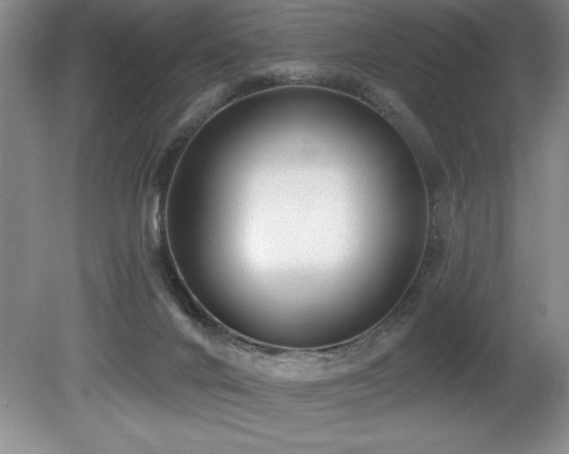 X0000080790024200612151506