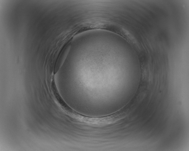 X0000080790026200612151506
