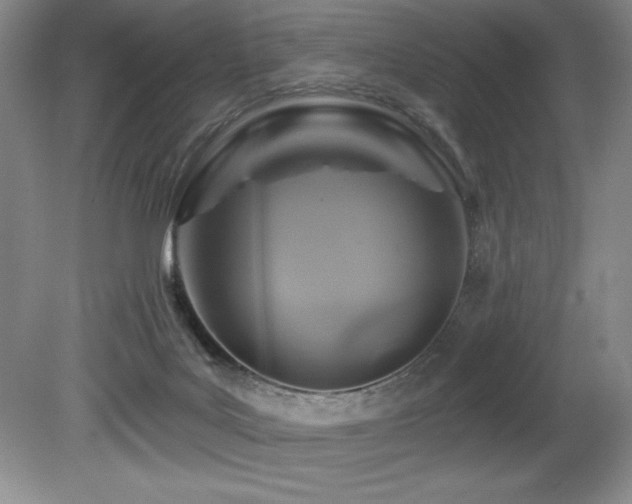 X0000080790027200612151506