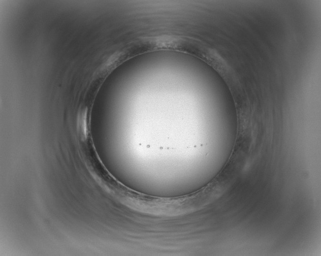 X0000080790028200612151506