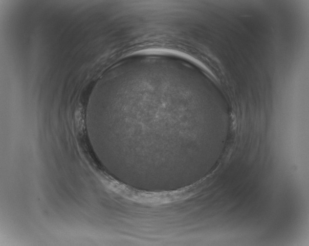 X0000080790029200612151506