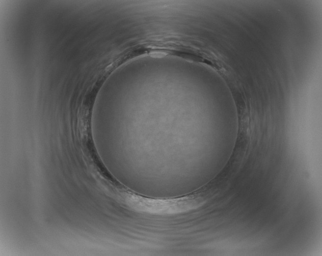 X0000080790030200612151506