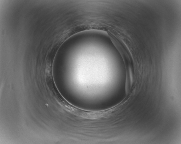 X0000080790033200612151506