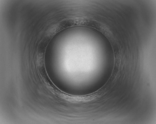 X0000080790034200612151506