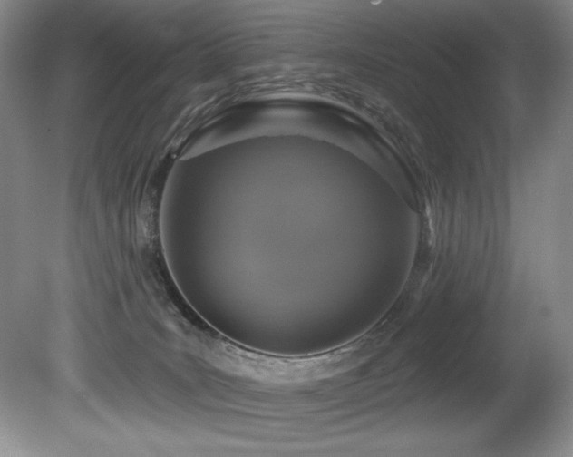 X0000080790035200612151506