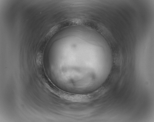 X0000080790036200612151506