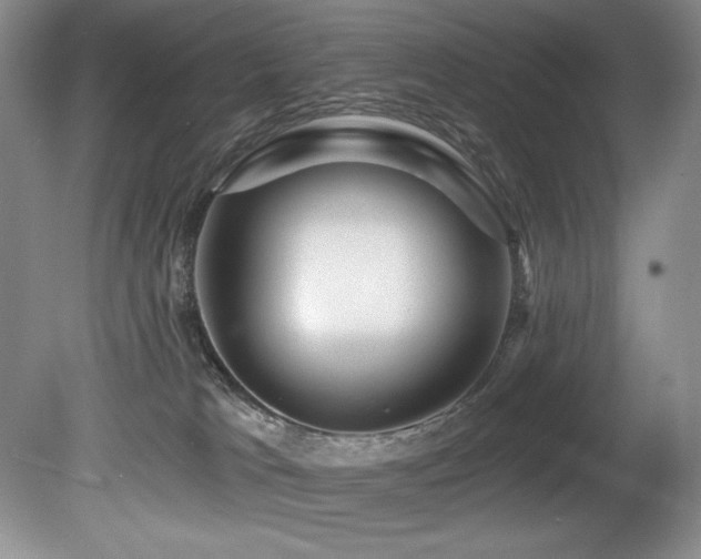 X0000080790037200612151506