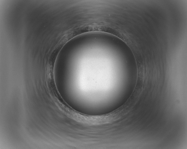 X0000080790038200612151506