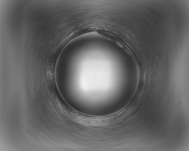 X0000080790040200612151506