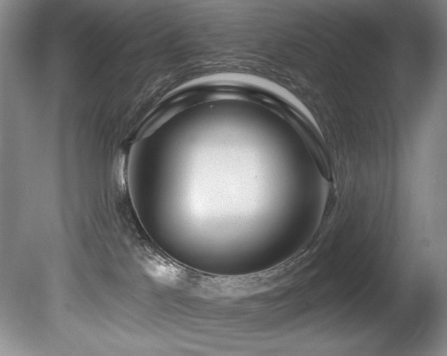 X0000080790041200612151506