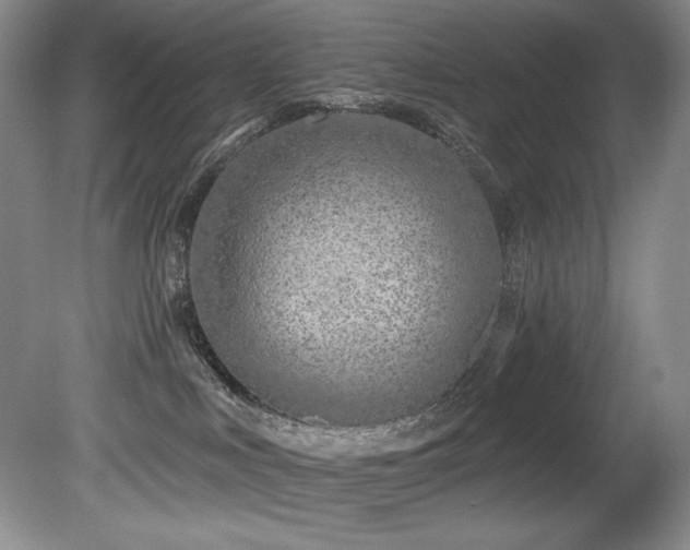 X0000080790043200612151506