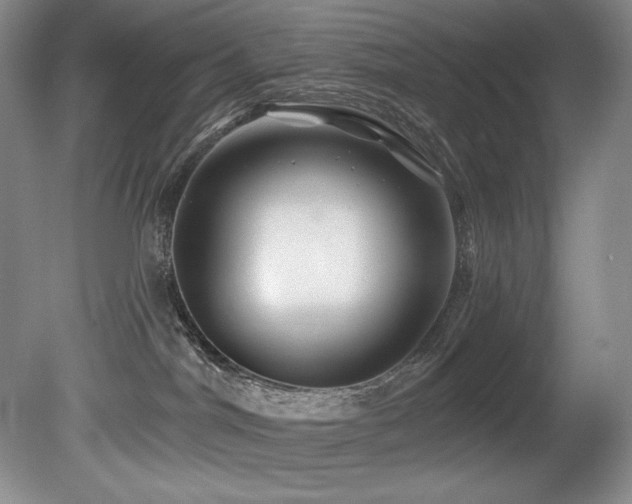 X0000080790044200612151506