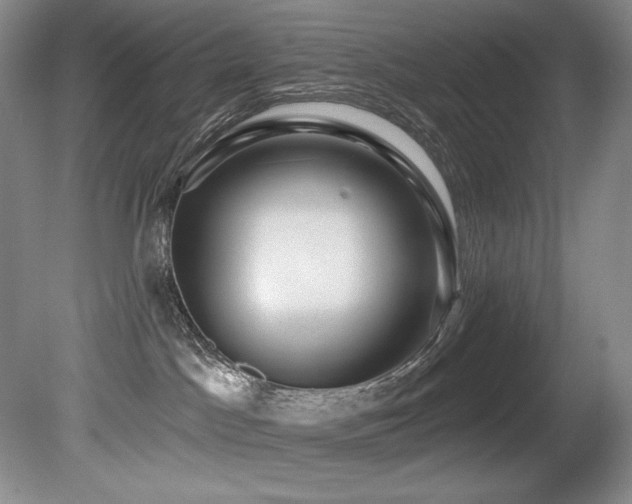 X0000080790045200612151506