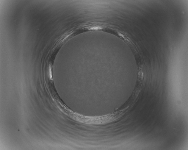 X0000080790046200612151506