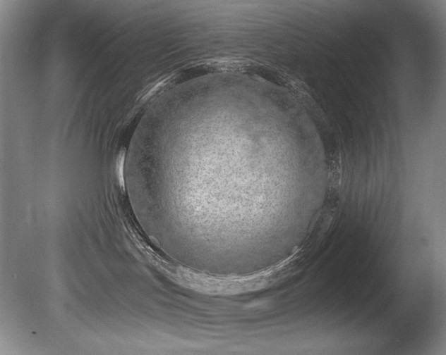 X0000080790047200612151506