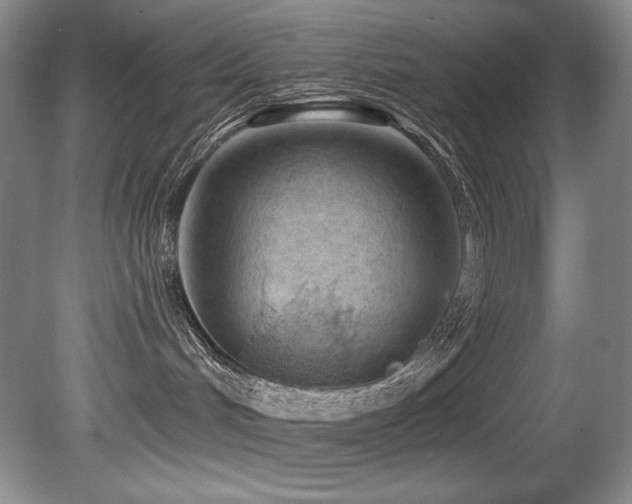 X0000080790048200612151506