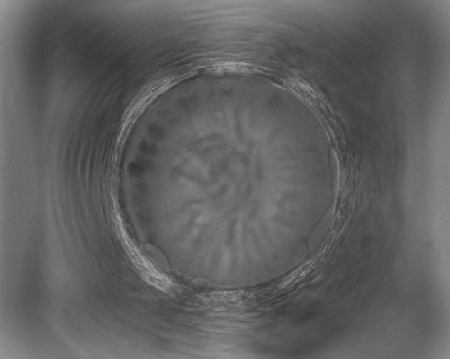 X0000080790049200612151505