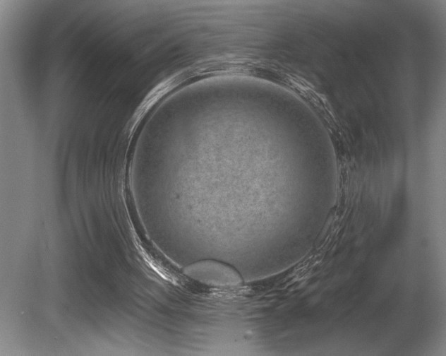 X0000080790051200612151505