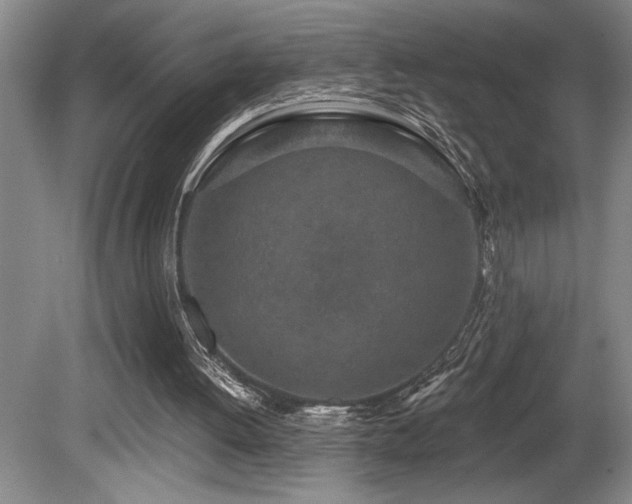 X0000080790052200612151505