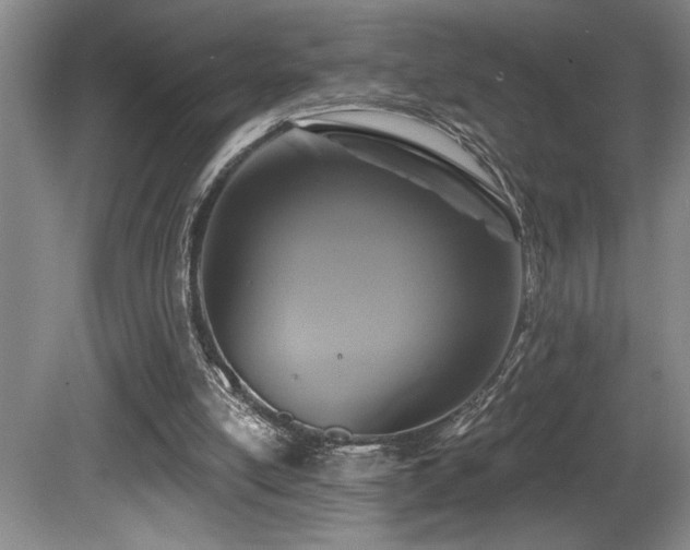 X0000080790054200612151505