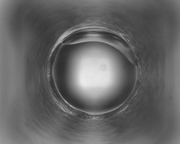 X0000080790056200612151505
