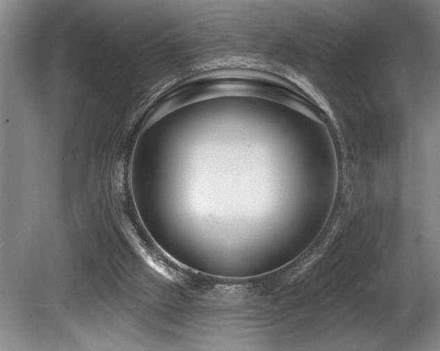 X0000080790057200612151505