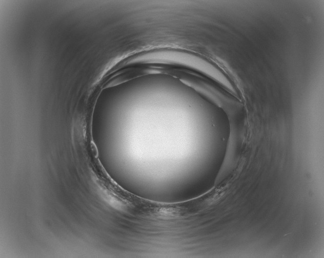 X0000080790060200612151505