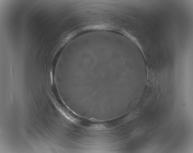 X0000080790061200612151505