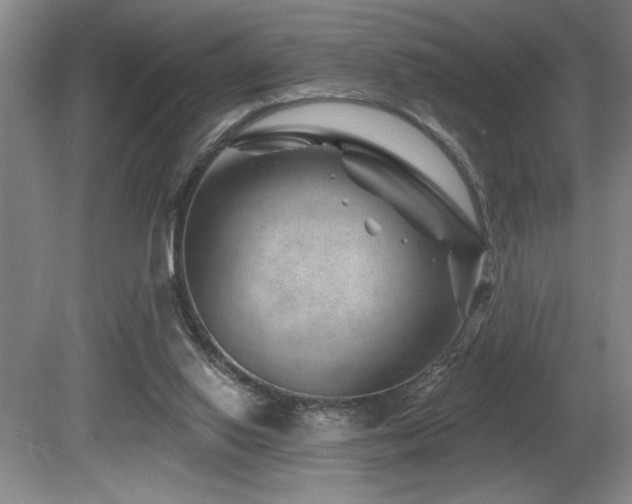 X0000080790062200612151505