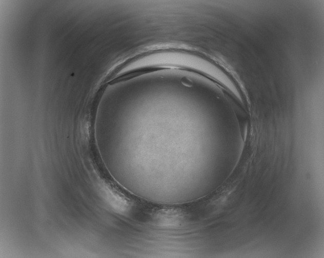 X0000080790063200612151505