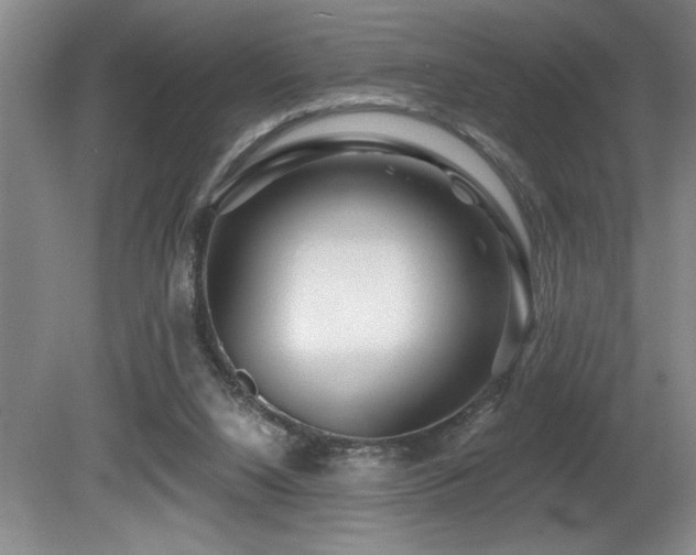 X0000080790064200612151505