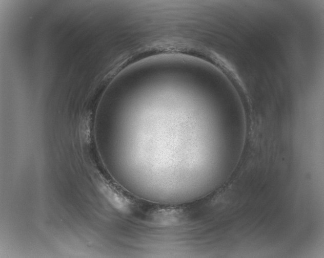 X0000080790065200612151505