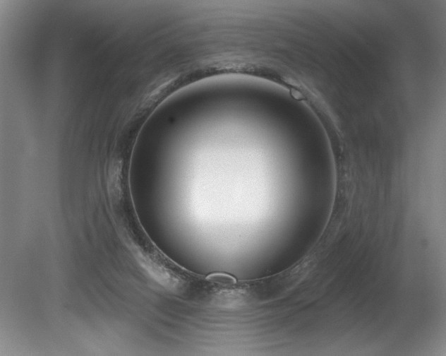 X0000080790066200612151505