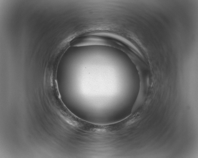 X0000080790068200612151505