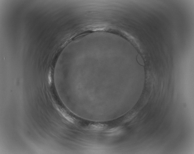 X0000080790069200612151505