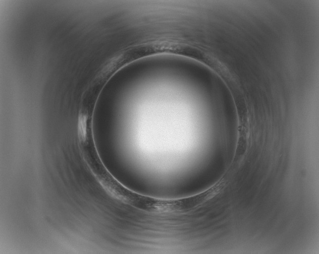 X0000080790070200612151505