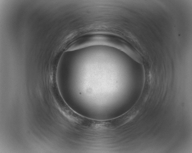 X0000080790072200612151506